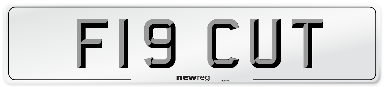 F19 CUT Number Plate from New Reg